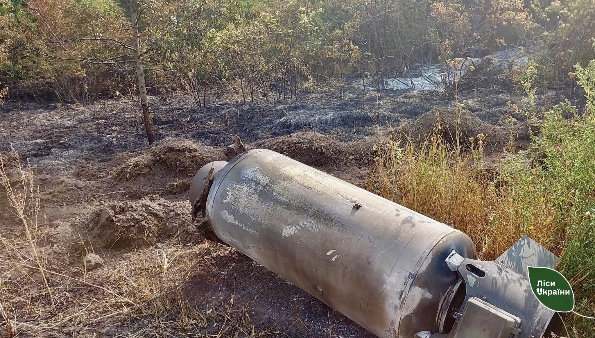 Снаряд в лісі