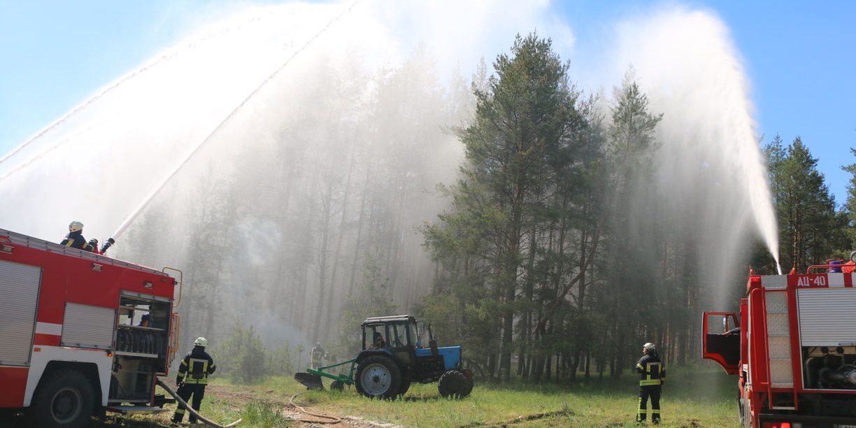 Гасіння лісової пожежі
