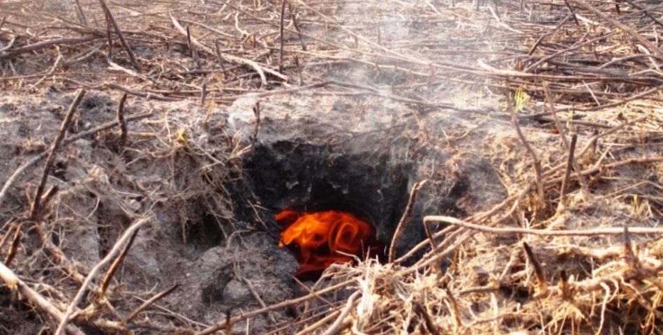 Торфова пожежа 1