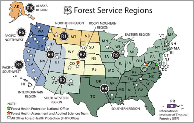 Регіон діяльності Лісової служби США