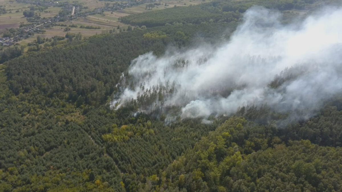 Лісова пожежа внаслідок обстрілу Сумщина 2022