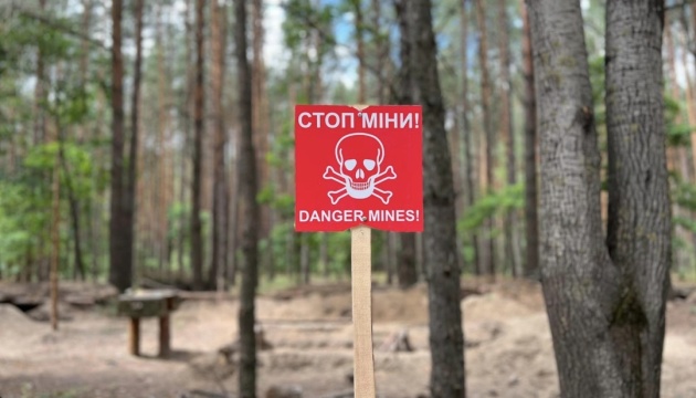 Замінування лісу