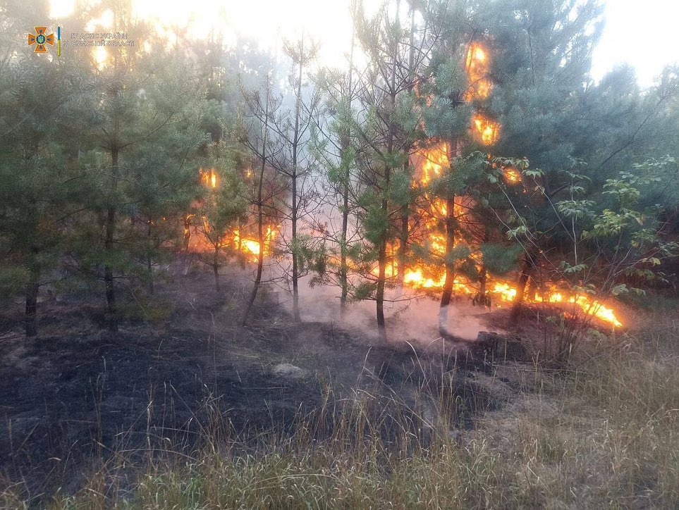 Лісова пожежа внаслідок обстрілу Сумщина 2022