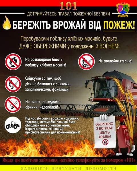 480575690 2641431426066636 4836558139126323647 n